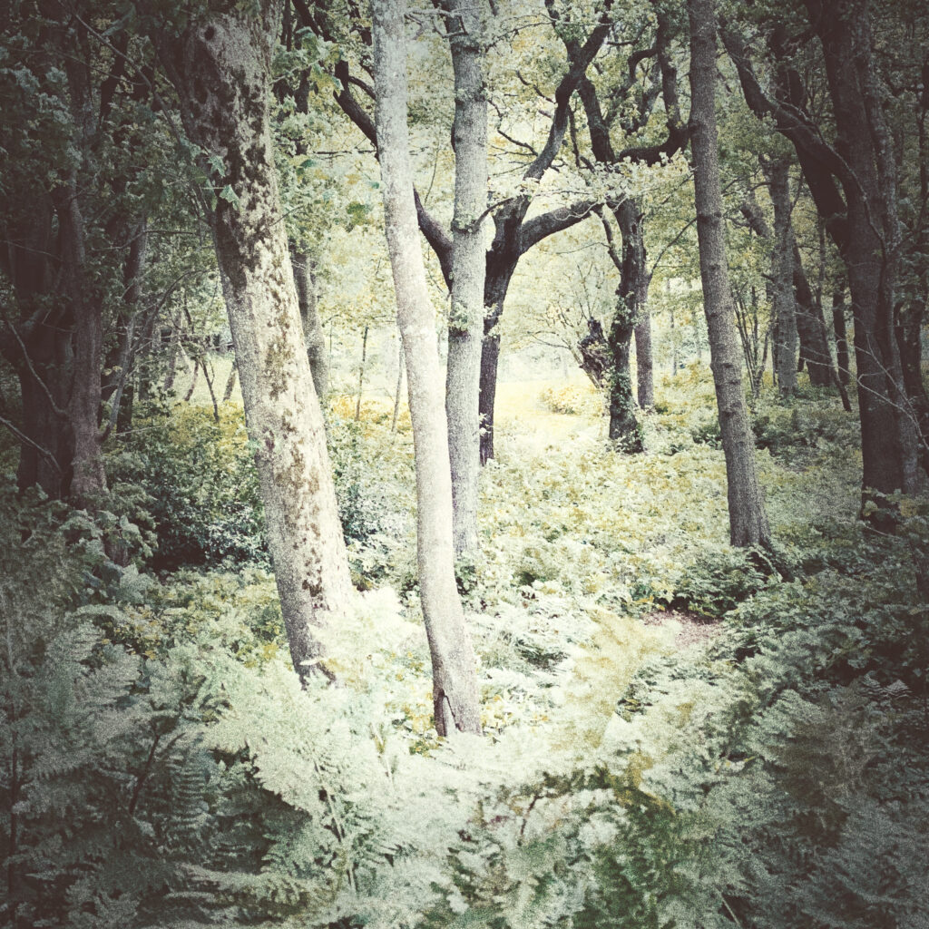 Group meditations, tapping circles and more.