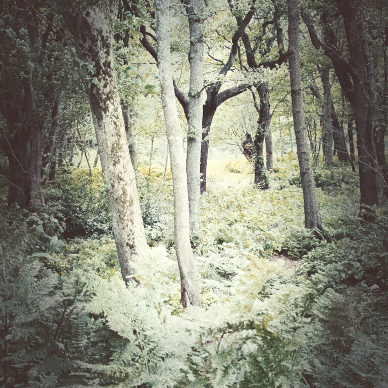 Group meditations, tapping circles and more.