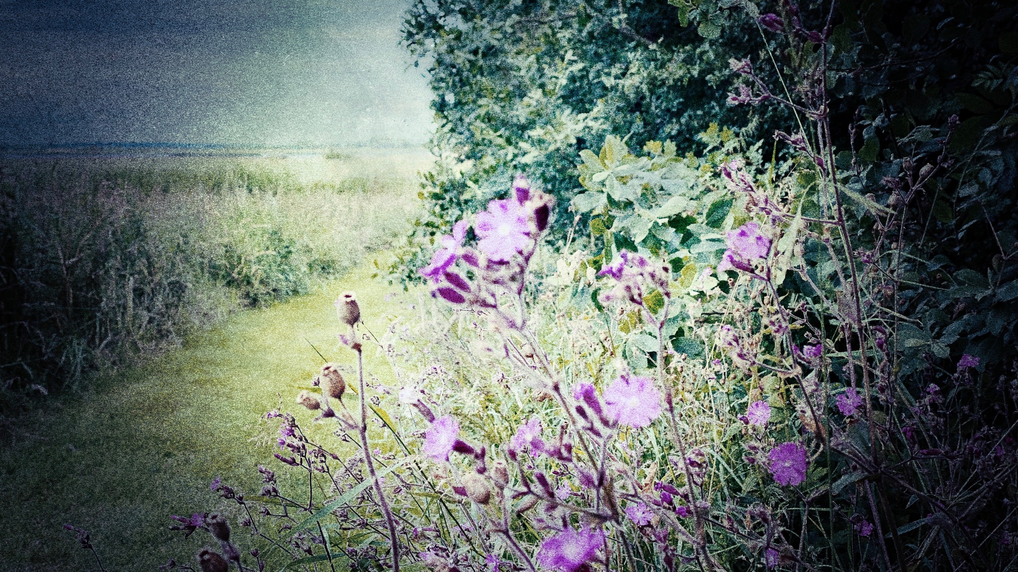 Karmic Business Strategies 1.01 Naming my price & launching “Friday Love” — a quiet revolution in my business model