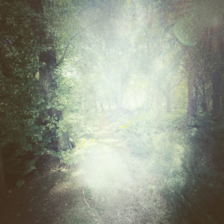 Deep but gentle personal energy clearing for highly sensitive people (HSP), animals, children or people in transition. Ancestral clearings for inherited issues.